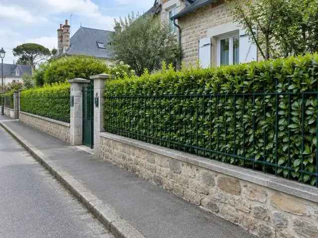 Clôture sur muret en pierre doublée d'une haie